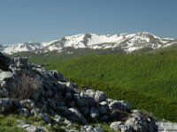 2026-05-09 Le cime di Casamaina 046